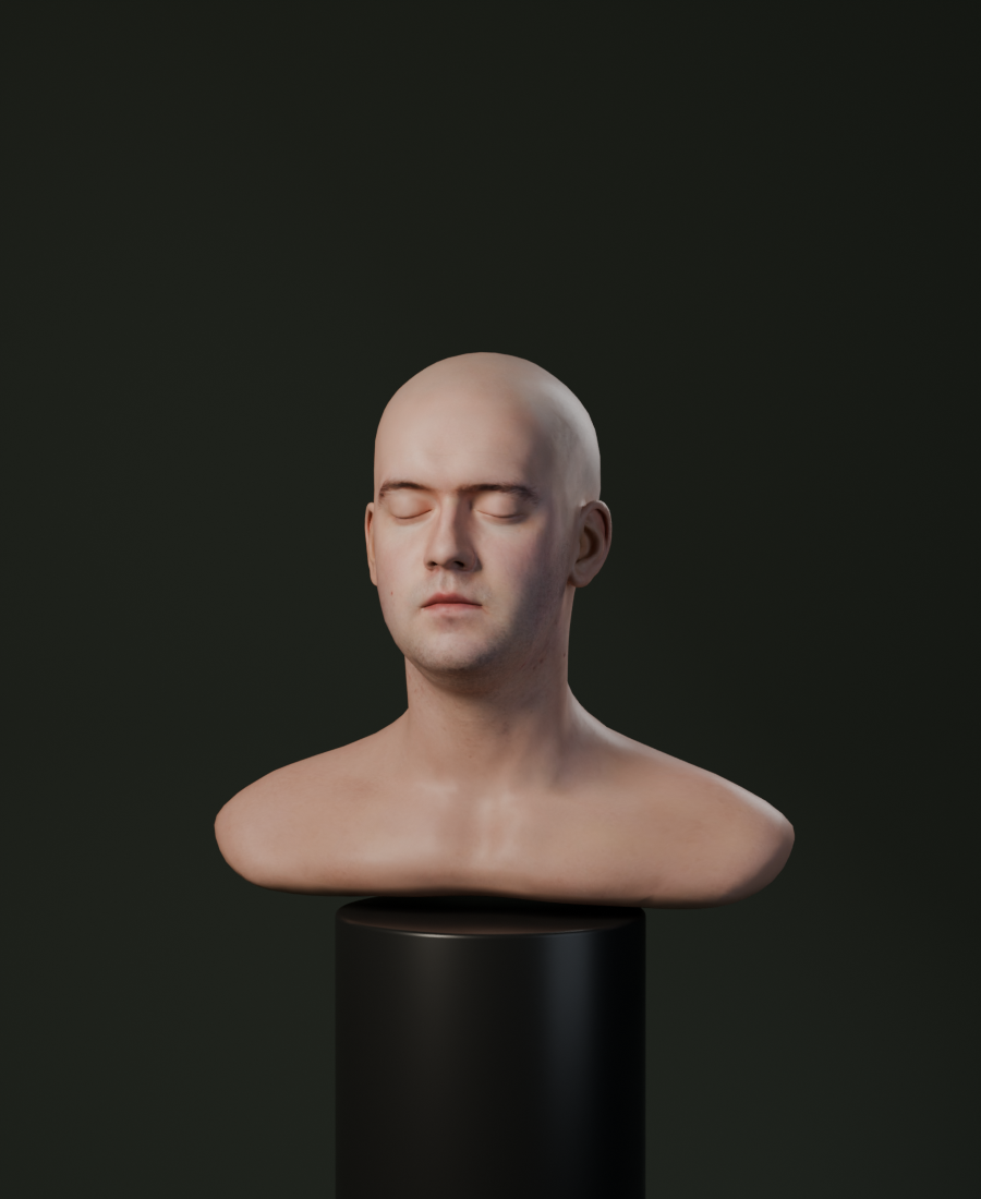 Blender-Cycles-Referenzrender des 3D-Kopfscans im Studio